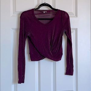 Purple and silver sparkly mesh top